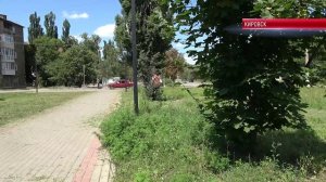 ТК «Родной». Коммунальные службы Кировска ежедневно наводят порядок в городе