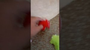 делаю манеж для квась / влог с квасями / у нас пополнение