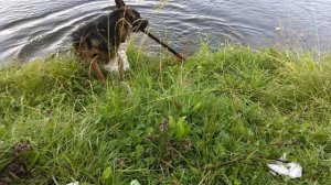 Влог на природе/Нора на речке