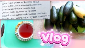 ЖАРА🥵ХВОРЬ😖И ЦУКИНИ 🙈