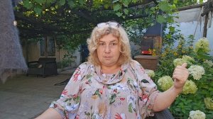 Новости колхоза#1 шиза против бравенькой