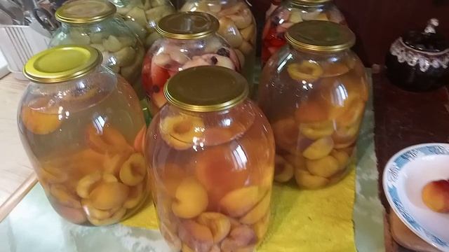 Здоровая пища
