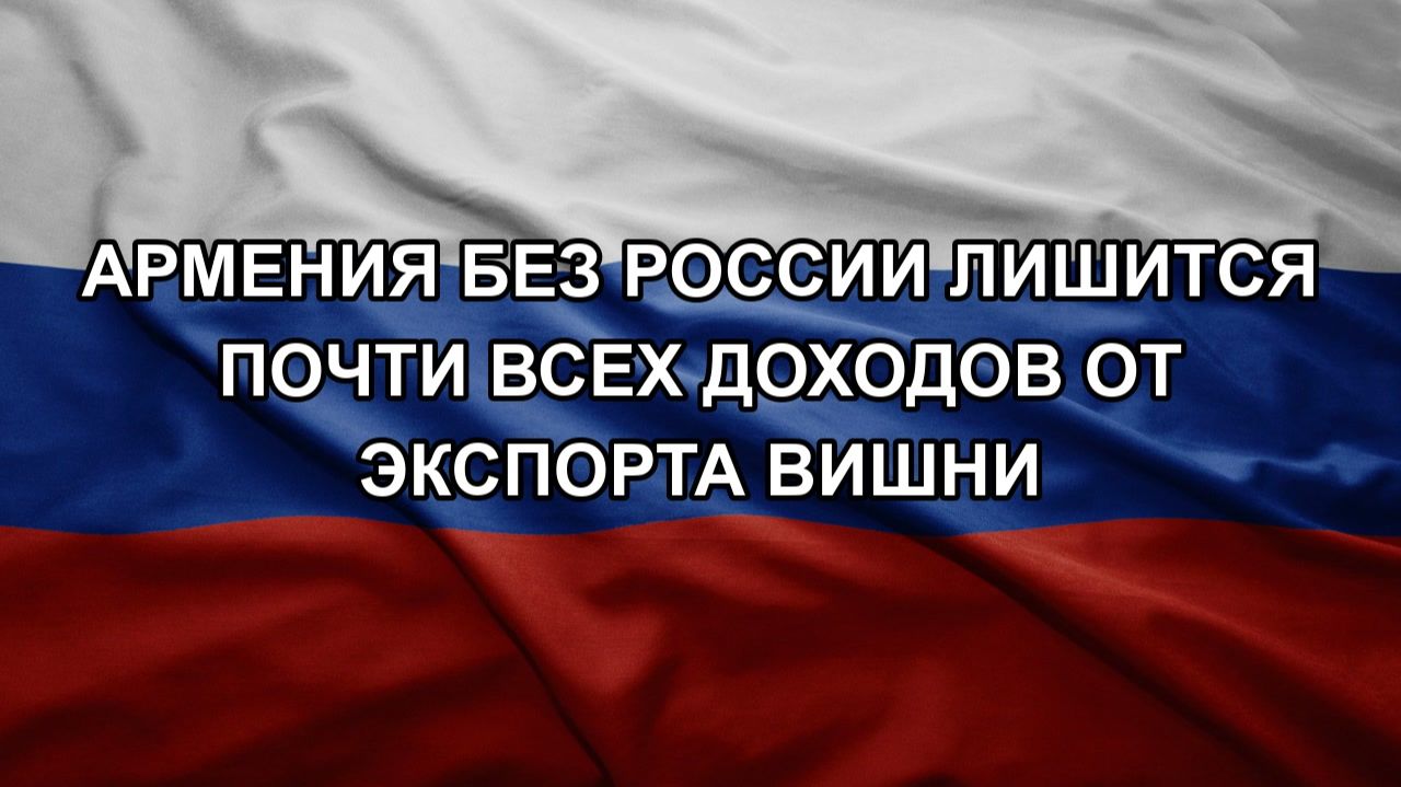 Армения без России лишится почти всех доходов от экспорта вишни