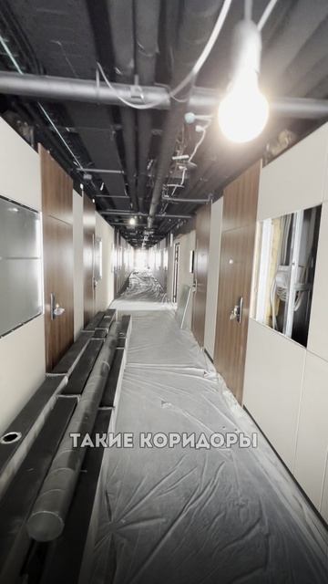 Тихие стены