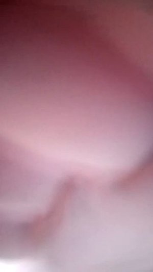 играю в роблокс.