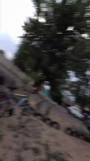 ой дебилы