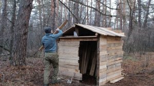 МУЖИК ОТШЕЛЬНИК СТРОИТ ЛАЧУГУ БИЧУГУ ДЛЯ ВЫЖИВАНИЯ В ЛЕСУ. ОТ НАЧАЛА ДО КОНЦА!4