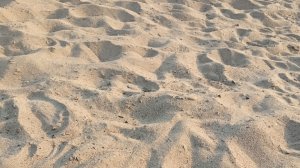 🌊🏖️Отдыхаю🏖️🌊