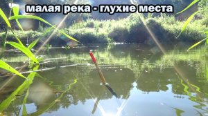 Рыбалка 2 августа на малой реке! Применяю совет ловли на поплавок на удочку. Спасибо! Попробуем!