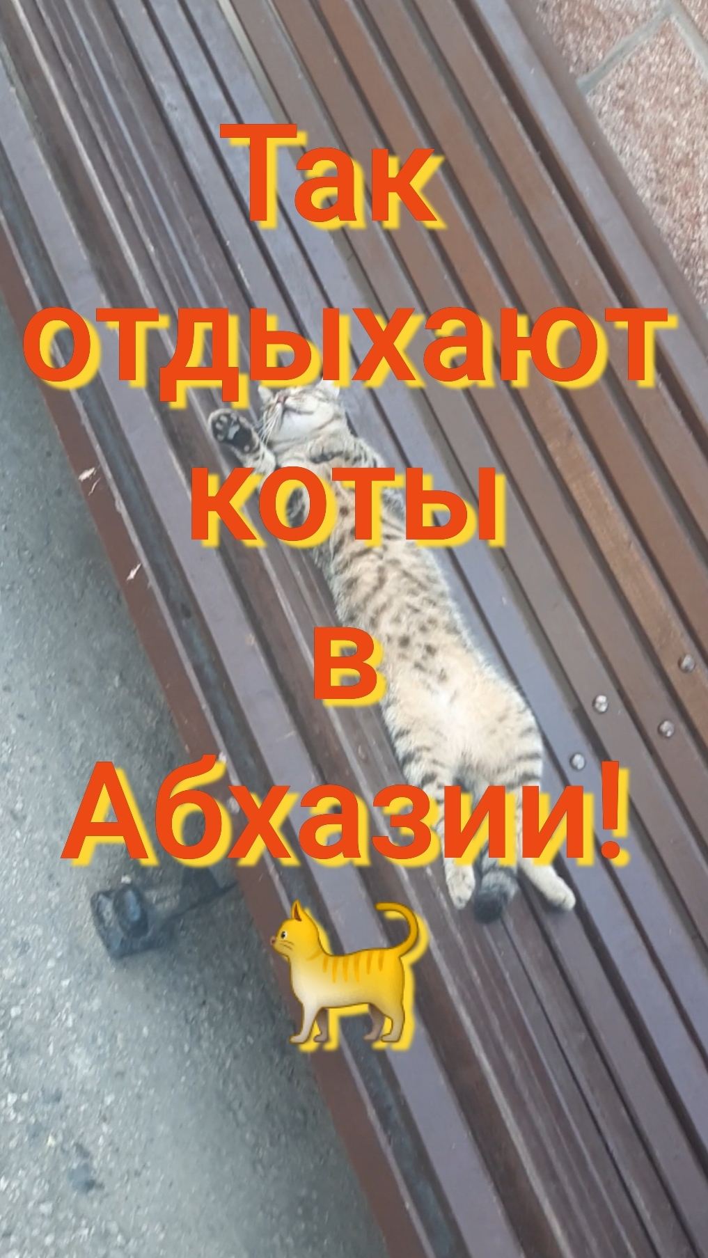 Абхазия! Супер отдых!!! 🦁