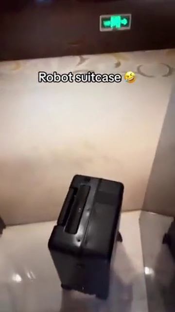 умный чемодан денис