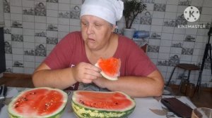 04-08-2026 СЛОВ НЕТ ЧТО С ОГОРОДОМ#ПОНЧИКИ ОНИ ЖЕ ПЫШКИ.