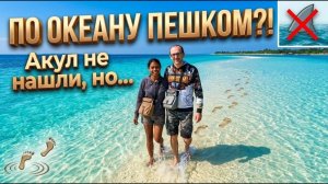 ИСХОД РУССКИХ МУЖИКОВ В ДЖУНГЛИ. ВСЁ НЕ ПО ПЛАНУ! ❌ Акул не нашли, но... мы прошли ПО ОКЕАНУ ПЕШКОМ!