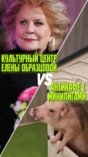 Культурный центр Елены Образцовой VS Антикафе с минипигами