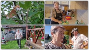 ГОТОВЛЮ КУРИНЫЙ СУПЧИК. ВЫКОПАЛИ КАРТОШКУ.