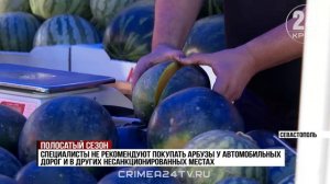 Сезон арбузов стартовал в Крыму