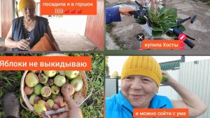 Жизнь в деревне 🏡 //яблоки не выкидываю // пора сажать редиску //разведу хосты //