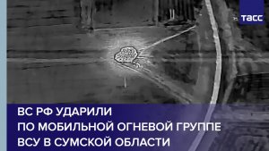 ВС РФ ударили по мобильной огневой группе ВСУ в Сумской области