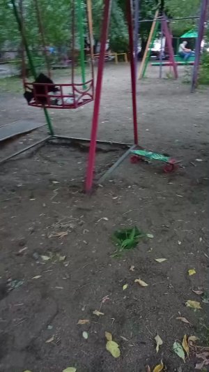мы следим за малышами