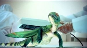 Coelurosauravus Tribute - We Are Young