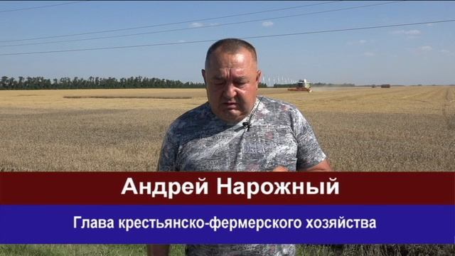 Аграрии района ведут уборку озимой пшеницы