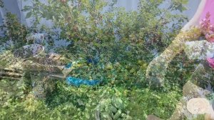 Лето в деревне)) Два рецепта))