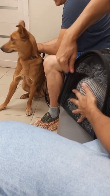 забираем тишу из клиники🥺