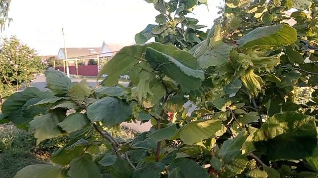 03.08.утро. Всем добра.