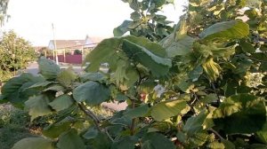03.08.утро. Всем добра.