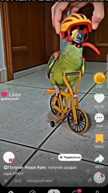 1000007313.mp4