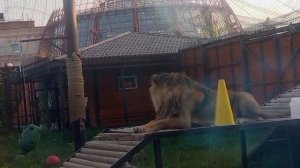 VLGI3822_03.08.2026_видео от Ивана