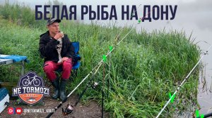 Отдых на реке Дон c донками за 450 рублей!