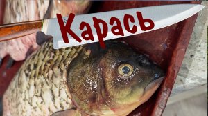 Карась