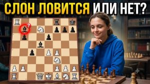Шахматный слон: ловится или не ловится на А7/H7?