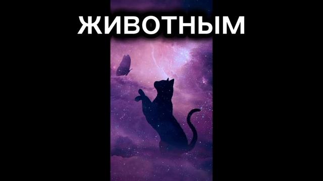 )