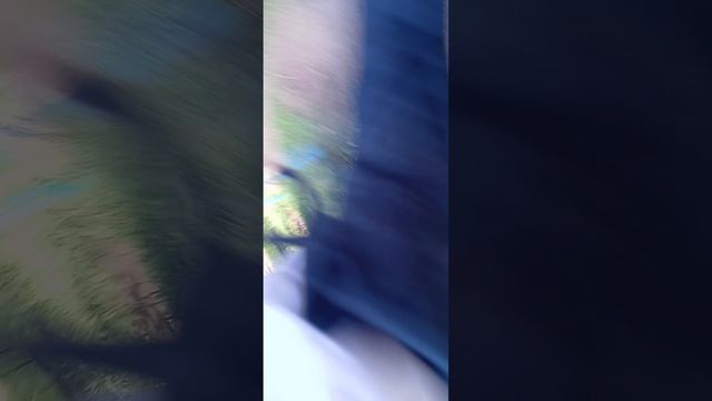 1000015323.mp4