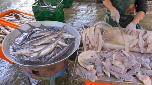 Грандиозный улов осетра весом 500 кг! Свежий улов и богатый коллагеном суп. Китай