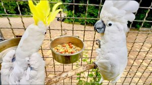 Я такого не ожидала от любимчика Кеши, он стал строить Киру❤️