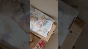 Играю с Кузьмой ч.1😁🤣🐈🐱