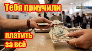 Тебя не ограбили — тебя вежливо убедили платить