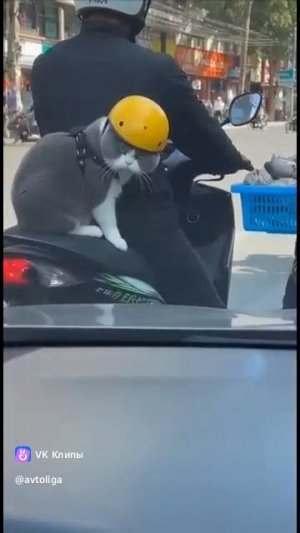 Воришка