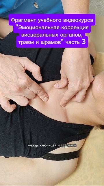 Фрагмент учебного видеокурса 