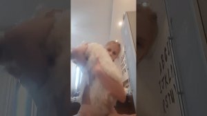 показываю браслетики