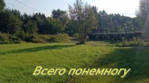 Всего понемногу. Опять сажаем малину. Красивые лилейники. Посадка под фонарём. 01-08-2026