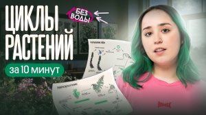 Циклы растений за 10 минут без воды | Мира Леви | Вебиум