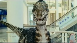 Raptor Tribute - Points Of Authority