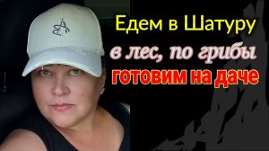 Олега укусила гадюка. Грибной сезон открыт - зонтики! Вечеруем на даче...Из Ейска♥️ в Рошаль.