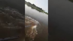 Охота и рыбалка