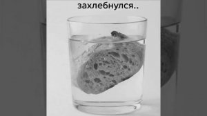 Хлеб захлебнулся, но в стиле немого кино