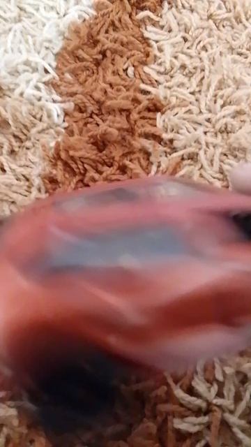 машинка
